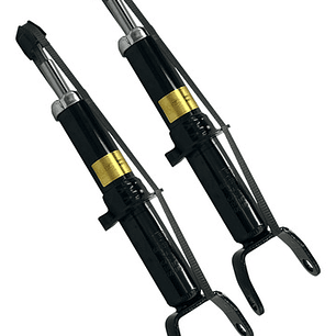 Par Amortiguador Delantero Para Dodge Dakota 3.7 2005-2009