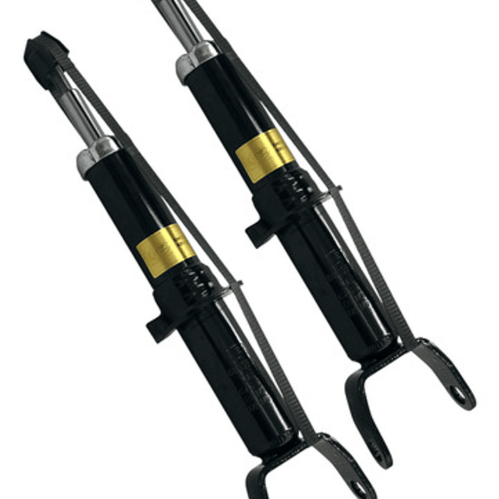 Par Amortiguador Delantero Para Dodge Dakota 3.7 2005-2009 1