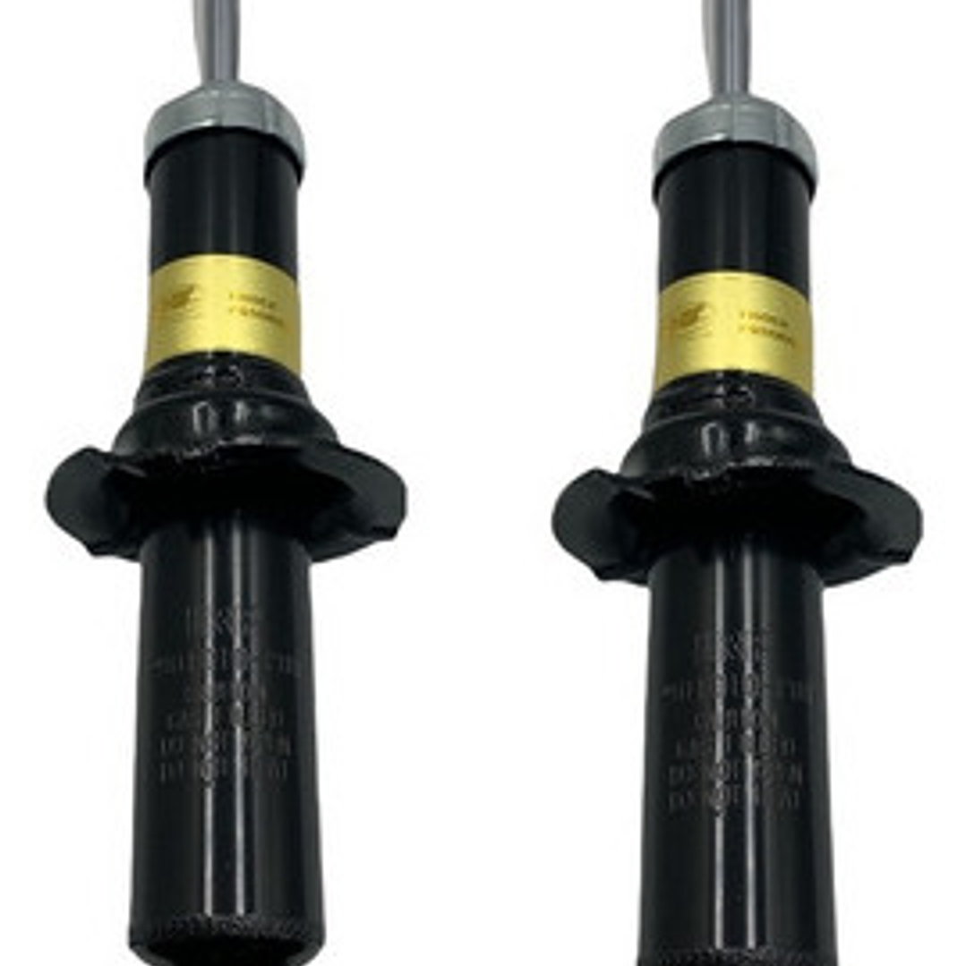 Par Amortiguador Delant Para Great Wall Wingle 2.8 2007-2011 1