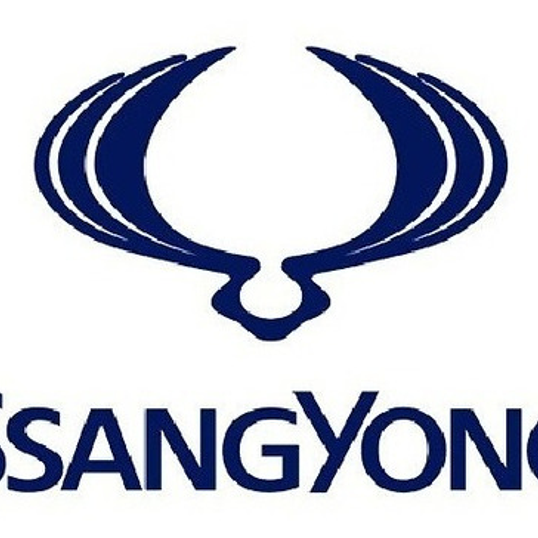 Sensor Posición Cigüeñal Ckp Ssangyong Actyon 2006-2012 5