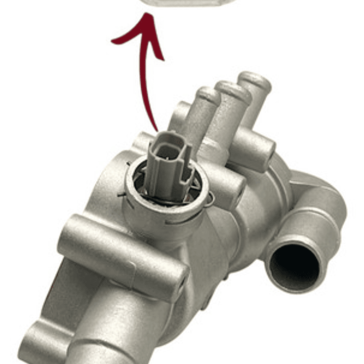 Termostato + Sensor Ford Ecosport 1.6 2003 A 2012 Nuevo 4