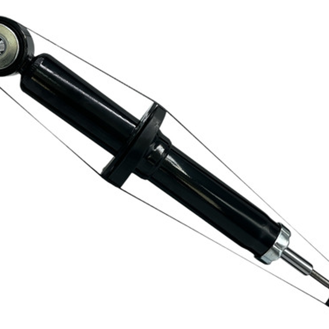 Par De Amortiguadores Delanteros Para F-150 5.4 2009-2012 4