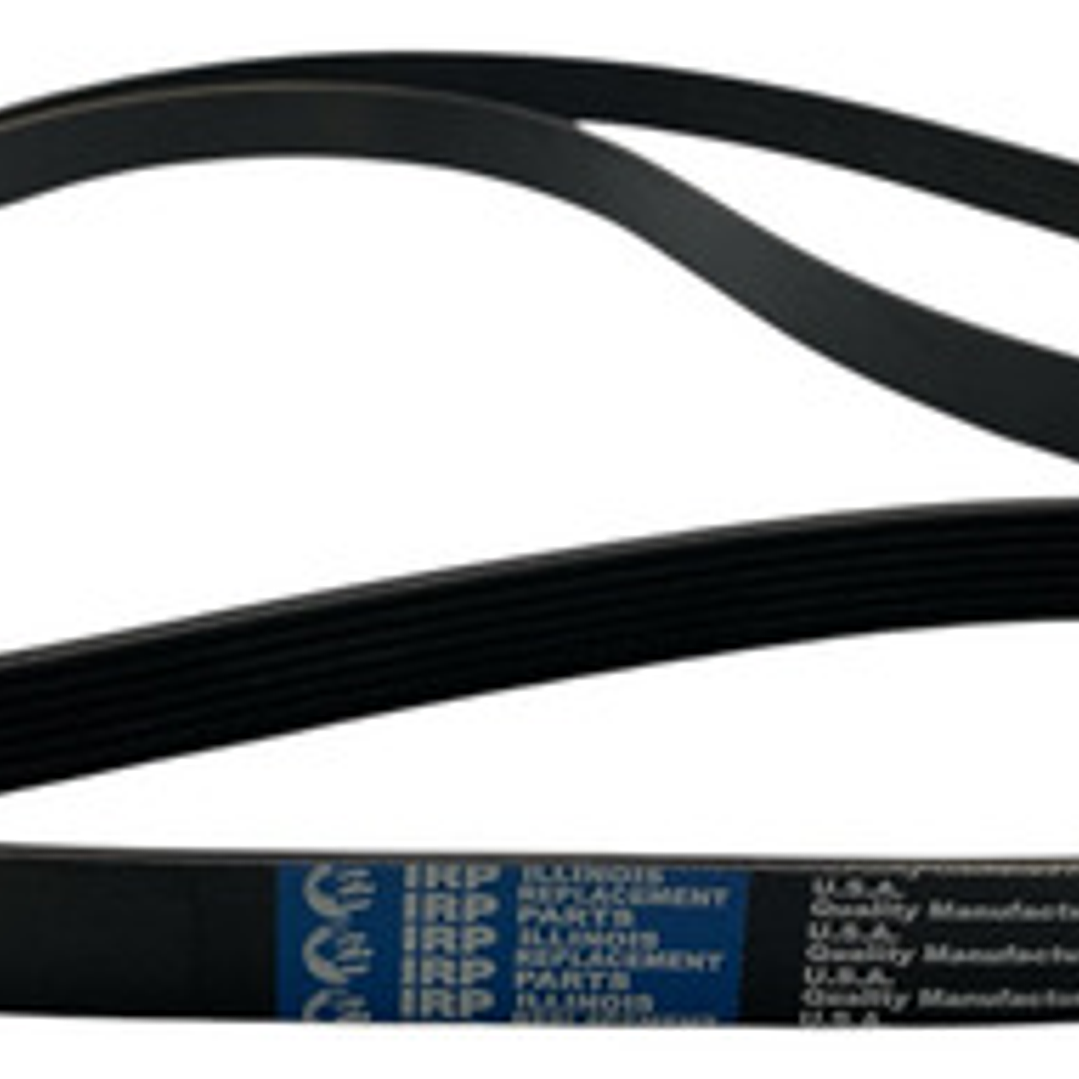 Correa Alternador Ford Transit 2.4 2005-2012 3