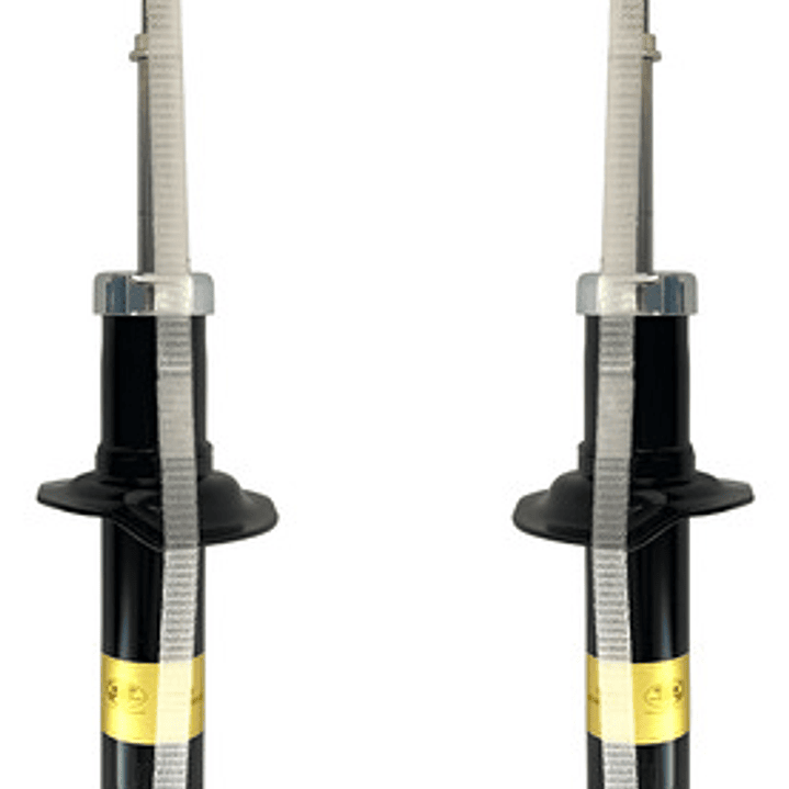 Par Amortiguador Traseros Para Nissan Sentra 1.8 2000-2007 1