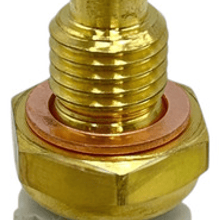 Bulbo Sensor Temperatura Para Mazda 3  2.5  2019-2021 5