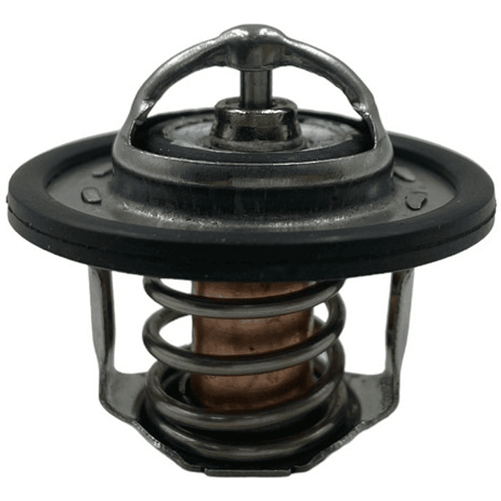 Termostato Mg Gt Mg Zs 1.5 2017-2023  80° C 1