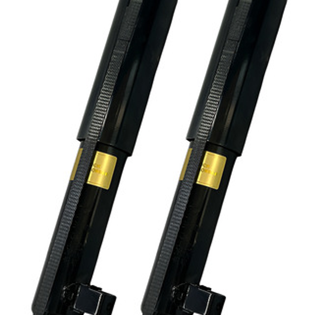 Par Amortiguador Trasero Para Hyundai Santa Fe 2.2 2010-2012 1