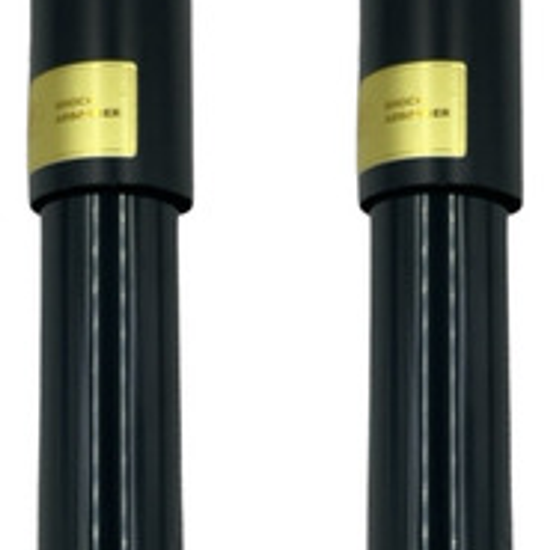 Amortiguador Tr Geely Emgrand X7 2.0 2014-2018 (par) 1