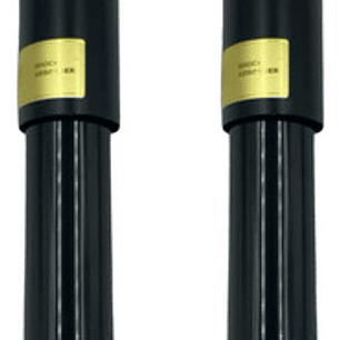 Amortiguador Tr Geely Emgrand X7 2.0 2014-2018 (par)