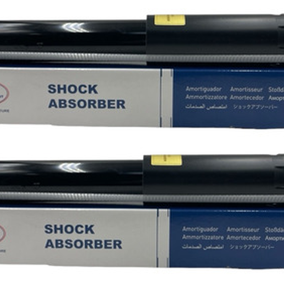 Amortiguador Tr Geely Emgrand X7 2.0 2014-2018 (par) 5