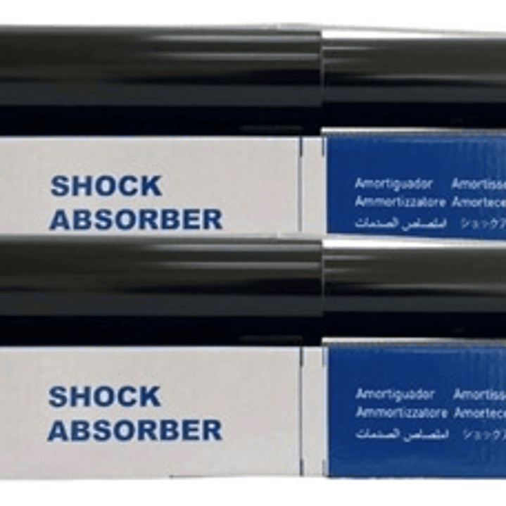 Par Amortiguador Trasero Para Nissan Qashqai 1.6 2.0 2009-14 1