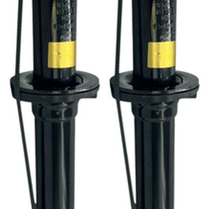 Par De Amortiguadores Delanteros Para F-150 3.5 2011-2014 1