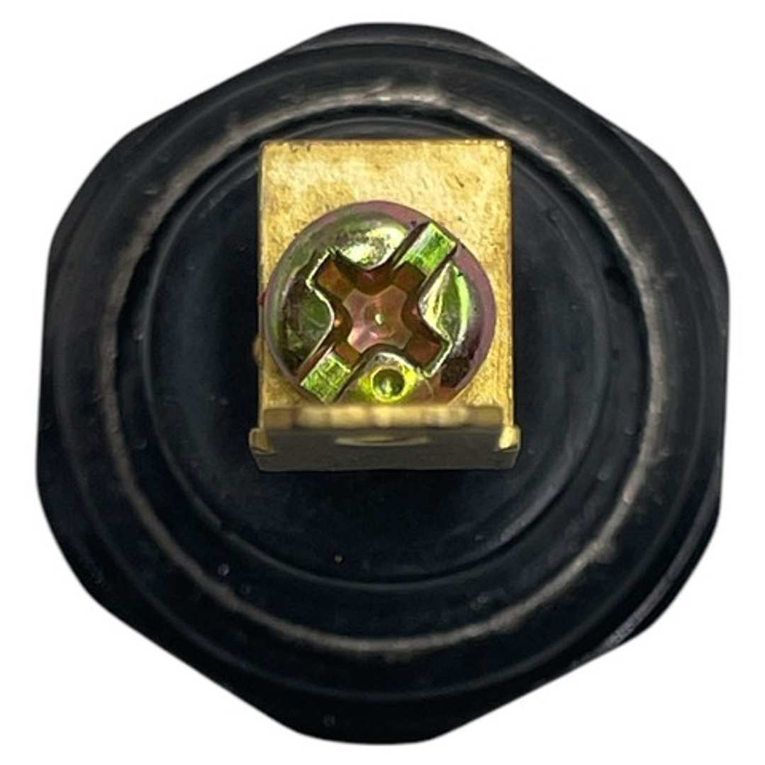 Bulbo Sensor Presión Aceite Suzuki Aerio 1.6 2003-2010 3