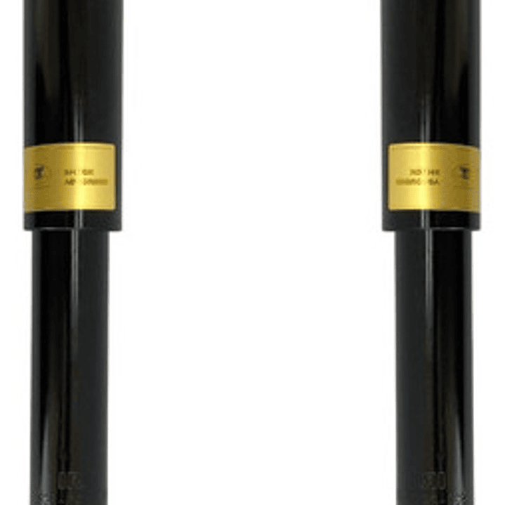 Par Amortiguador Traseros Para Chery Beat 1.3 2011-2017 1