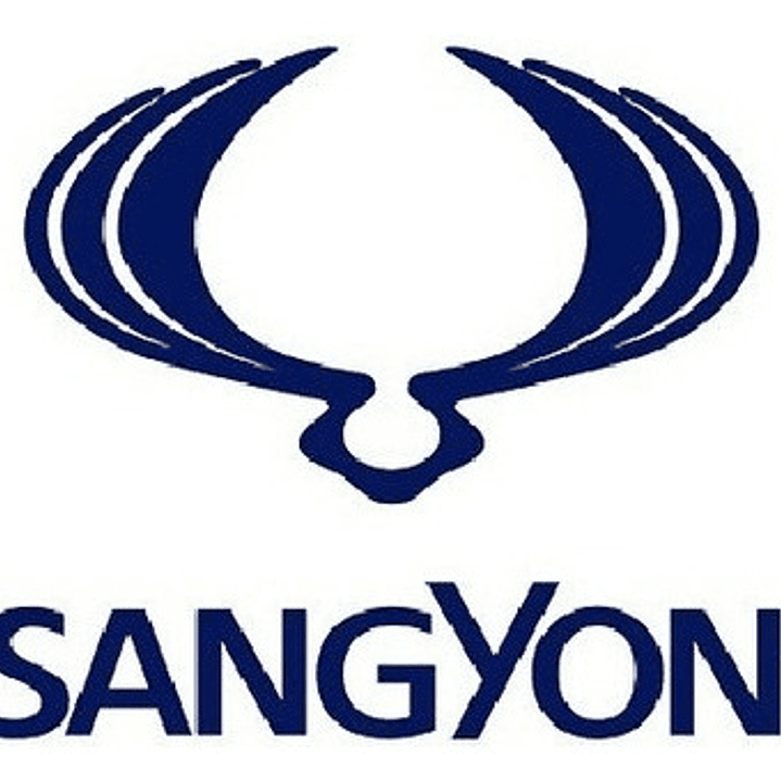 Sensor Posición Cigüeñal Ckp Ssangyong Kyron 2.0 2.7 06-12 4