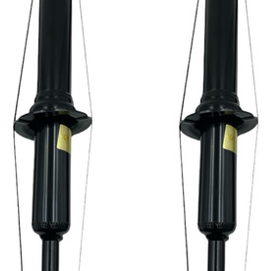 Par De Amortiguadores Delanteros Jac T6 T8  2.0 2016-2023 1