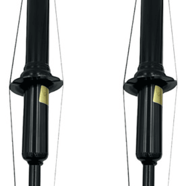 Par De Amortiguadores Delanteros Jac T6 T8  2.0 2016-2023 1