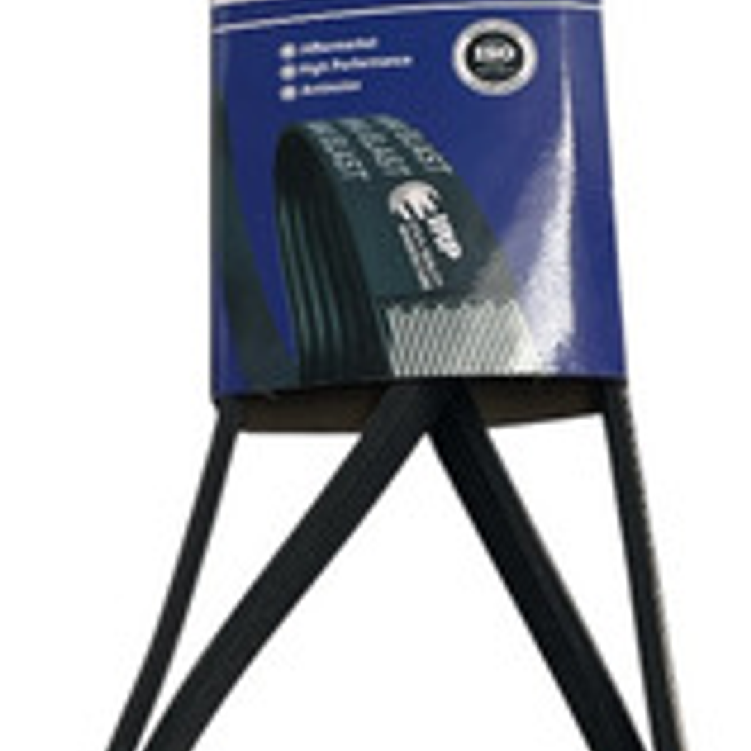 Correa Alternador Mg Gs 1.5l 2016-2021 4