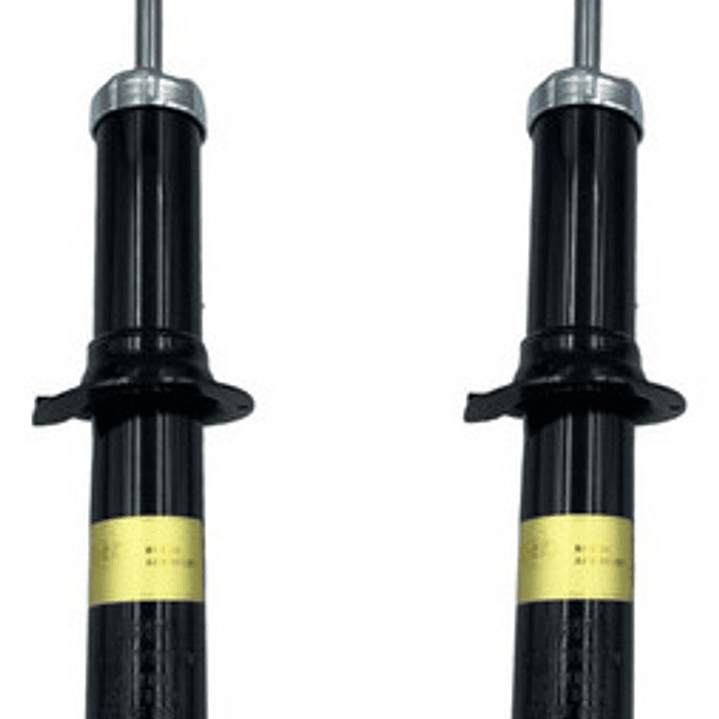 Par Amortiguadores Delanteros Ssangyong Actyon 4x2 2007-2012 1