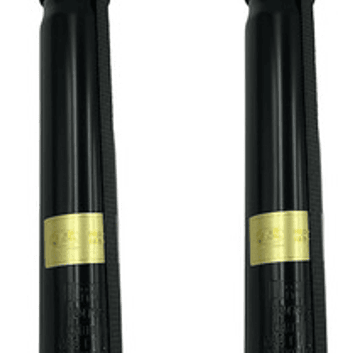 Par Amortiguadores Traseros Para Mg Gs 1.5 2016-2022 3