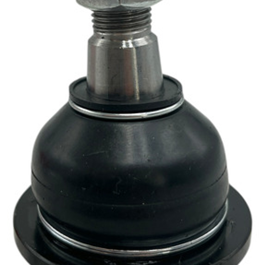 Rótula Inferior Der/izq Para Explorer Sport Trac 4.0 07-10 2