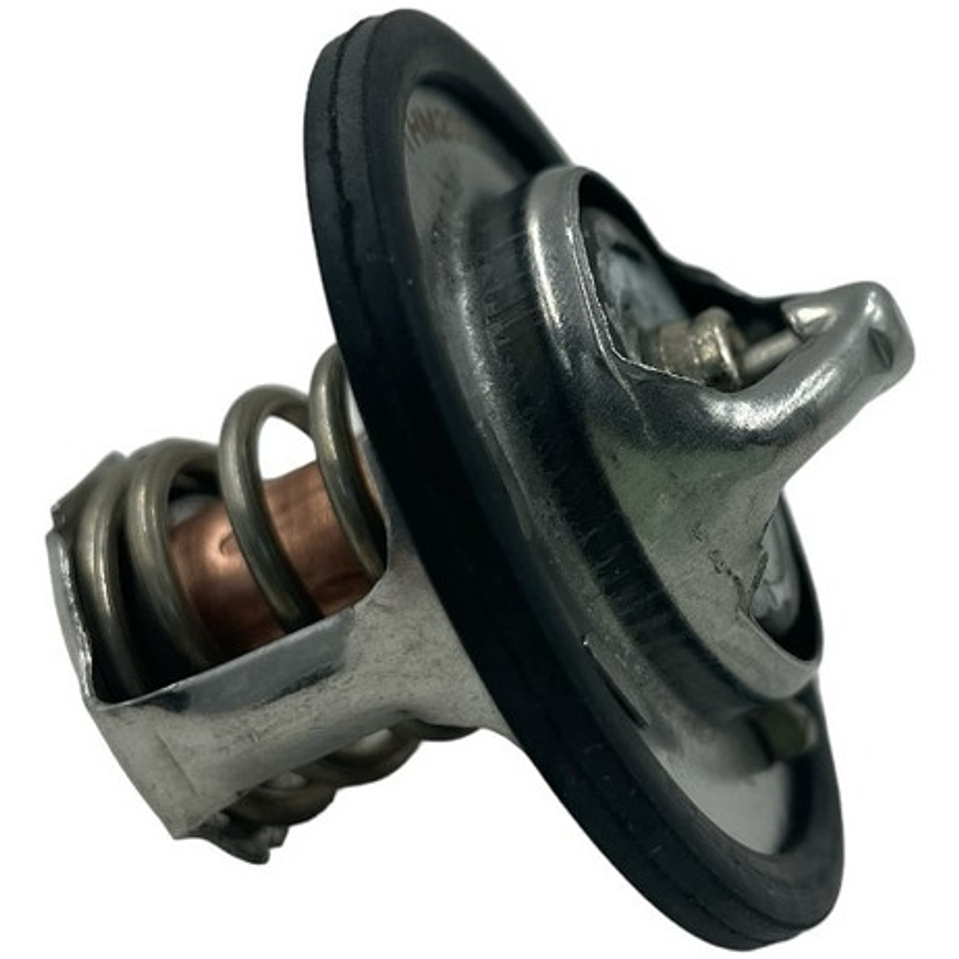 Kit Termostato Mg3 Mg5 Mg350 Mg Zs Mg Gt 1.5 80°c Y 88°c 6