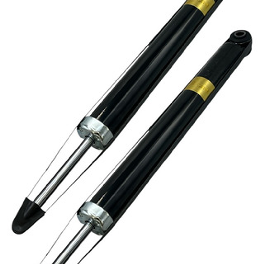 Par Amortiguadores Traseros Para Escape Se 2.0 2013-2021 1