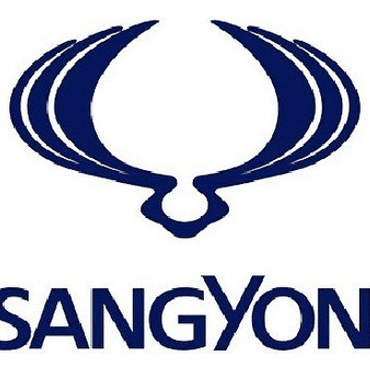 Bandeja Inf Derecha Ssangyong New Actyon Sport 2013-2019 4x4 3