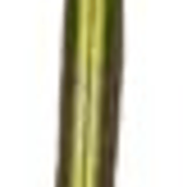 Piola Selectora Cambio Isuzu Npr 4.3 1994-1998 ( Ojo- Ojo) 3