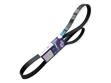 Correa Alternador Citroen Xsara Picasso 1.6 2004-2011 Diesel 3