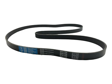 Correa Alternador Citroen Xsara Picasso 1.6 2004-2011 Diesel 2