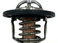 Termostato Mg3 Mg5 Mg350 1.5 2012-2023  80° C - Miniatura 4