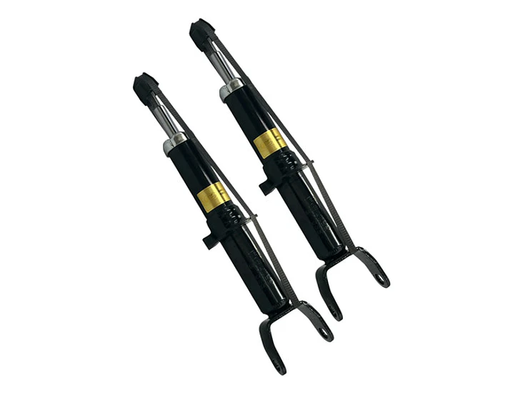 Par Amortiguador Delantero Para Dodge Dakota 3.7 2005-2009 1