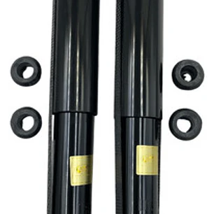 Par Amortiguador Trasero Para Jac T8 2.0 2020-2023