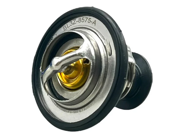 Termostato Para Ford  Expedition 3.5 2014-2018 1