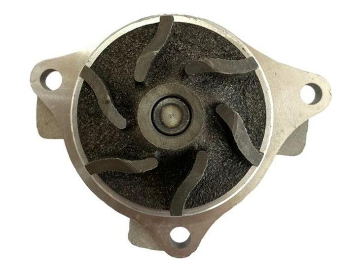 Bomba Agua Mg Zs 1.5 2017-2025 4