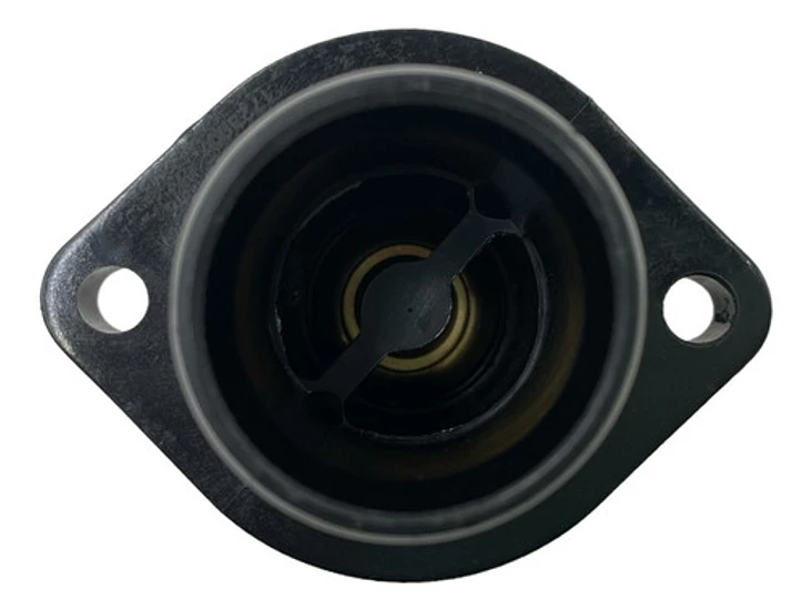 Termostato Dongfeng Dfm Ax7 2.0 2016-2021 6