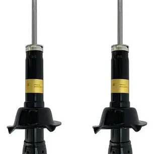 Par Amortiguador Traseros Para Haval H6 1.5  2016-2020