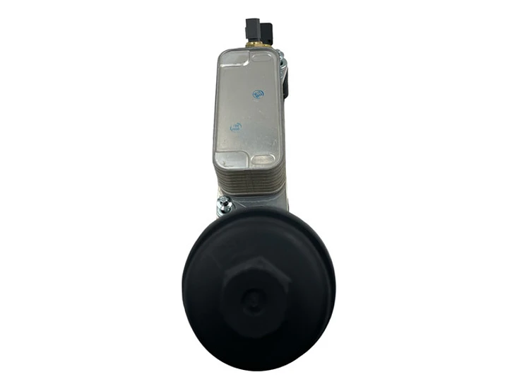 Enfriador De Aceite Dodge Ram 1500 3.6 2013-2022 Erb V6 Vvt 8