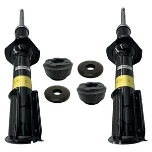 Amortiguadores Delantero + Cazoleta Chery Face 1.3 2008-2014