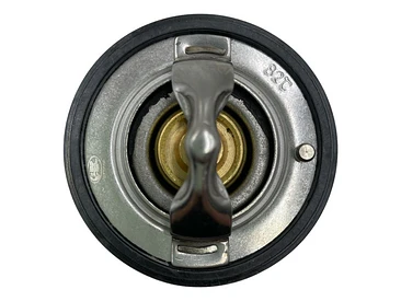 Termostato Jac S5 2.0 2014-2021 5