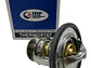Termostato Jac S5 2.0 2014-2021 - Miniatura 2