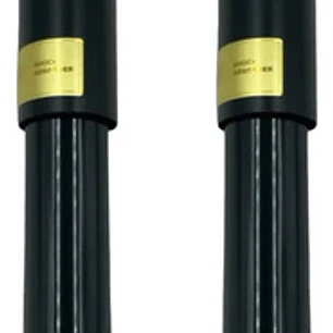 Amortiguador Tr Geely Emgrand X7 2.0 2014-2018 (par)