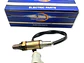 Sensor Oxigeno Ford Explorer / Expedition 2000-2010 ( Pos 2) - Miniatura 2