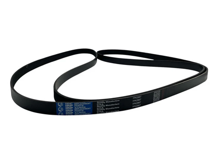 Correa Alternador Ford Transit 2.2 2014-2021 2