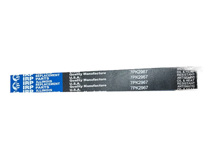 Correa Alternador Ford Transit 2.2 2014-2021 4