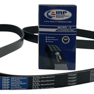 Correa Alternador Ford Transit 2.2 2014-2021