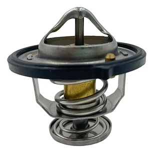 Termostato Jac T6 2.0 2016-2024 Diesel