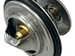 Termostato Para Ford  Explorer  4.0  2002-2010 - Miniatura 6