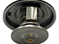 Termostato Para Ford  Explorer  4.0  2002-2010 - Miniatura 7